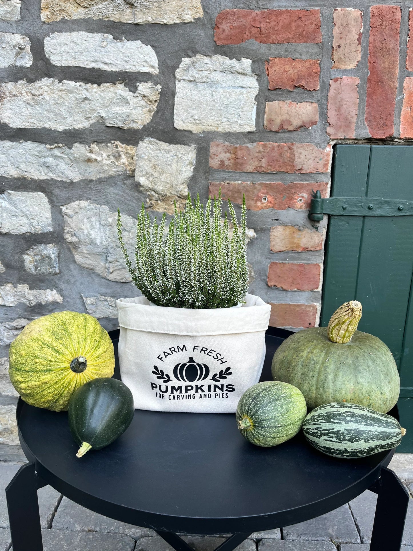 Utensilo Herbstdeko PUMPKIN