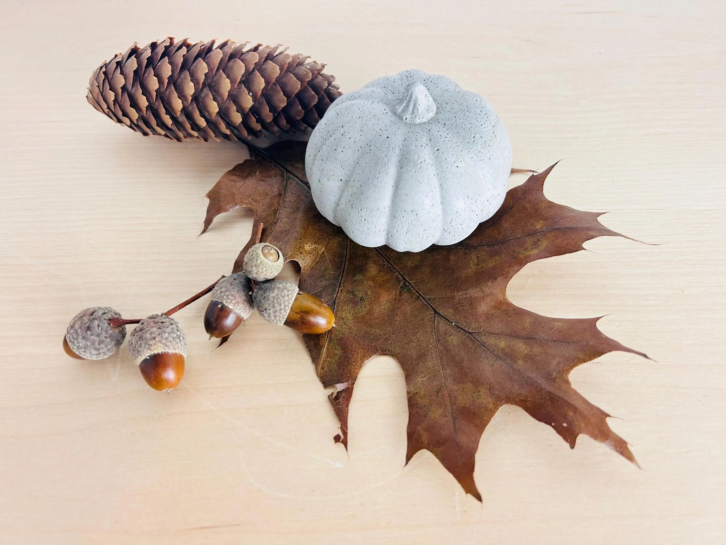 Beton Kürbis-Paar Herbstdeko