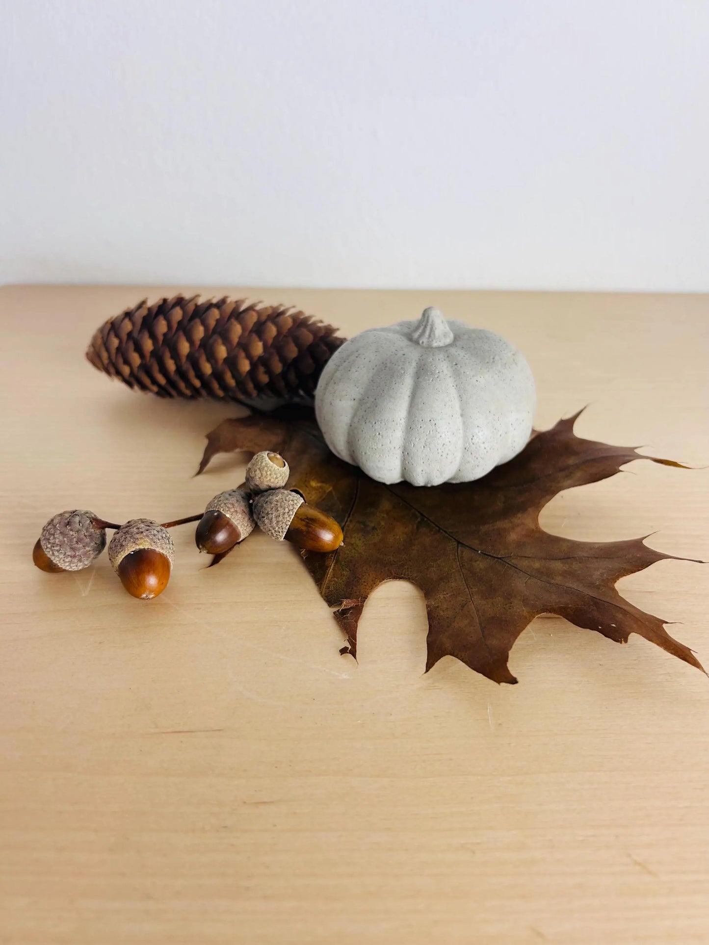 Beton Kürbis-Paar Herbstdeko