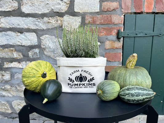 Utensilo Herbstdeko PUMPKIN