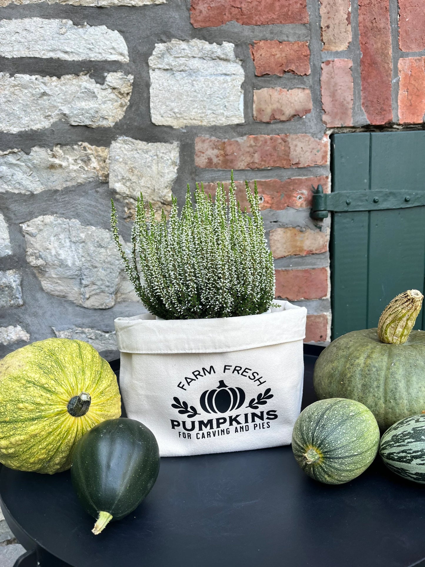 Utensilo Herbstdeko PUMPKIN
