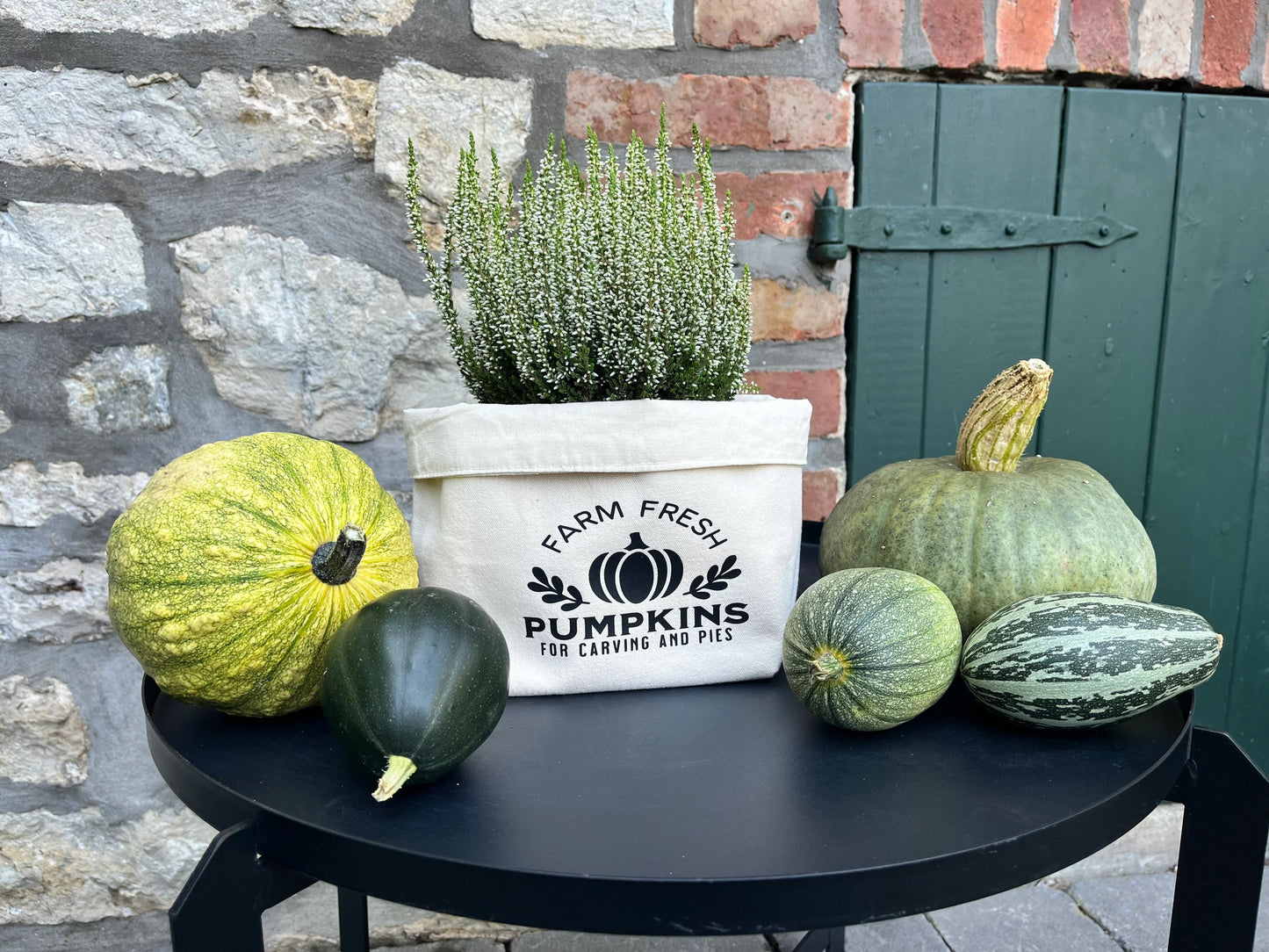 Utensilo Herbstdeko PUMPKIN